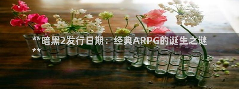 NG28创造奇迹登录最简单三个步骤：**暗黑2发行日期：经典ARPG的诞生之谜
**
